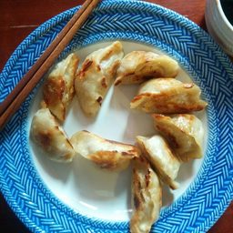 饺子的每日餐食记录