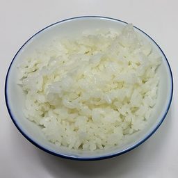 米饭的每日餐食记录